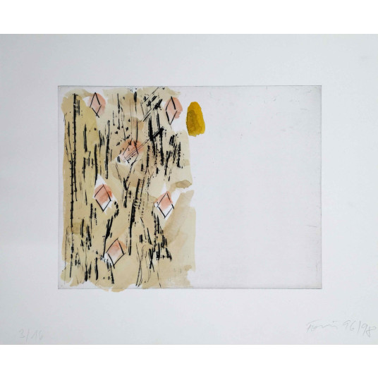 Günther Förg Radierung