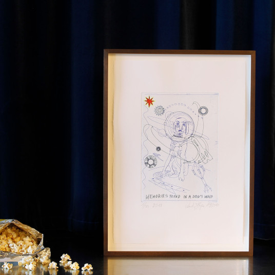 Memories Found in a Dog’s Mind