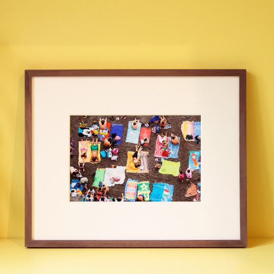 Martin Parr, Collector´s Edition mit 5 Prints