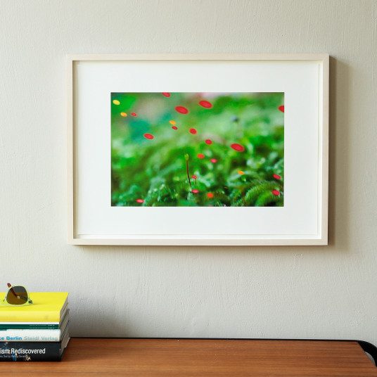 Pipilotti Rist, artflash