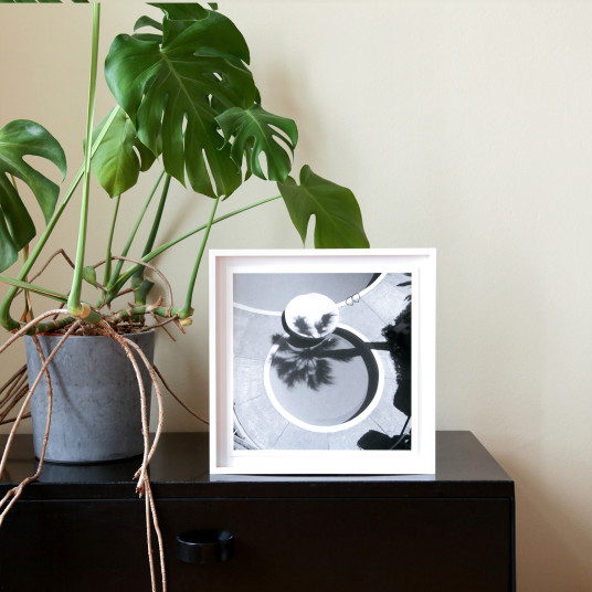 La Palmeraie, Roquebrune/Cap Martin, 2017