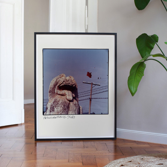 Studies for Chinese Summerhall (Large): Dog and Wires