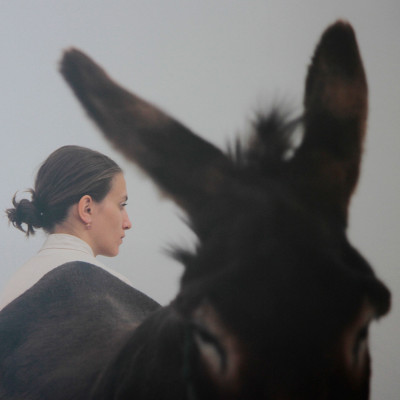 Untitled (Anne Imhof)