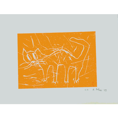 André Butzer, Katze / orange