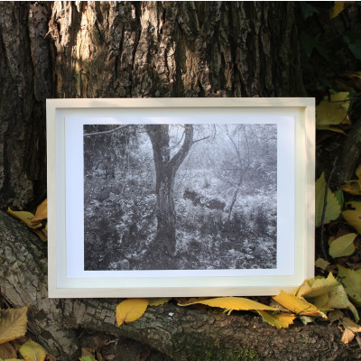 Was einem Heimat war (Motiv Spuren 4)