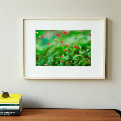 Pipilotti Rist, artflash