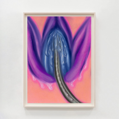 Sara Bonache, Untitled