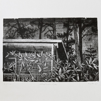 Sebastian Nebe, Rhododendron