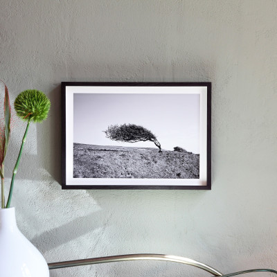 Marie Smith, Lone Tree in East Sussex